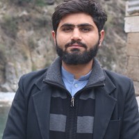 Muhammad Anees