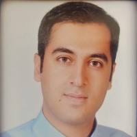 Mostafa Kargaran