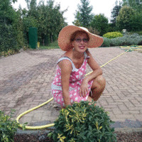 Giovanna Zippo