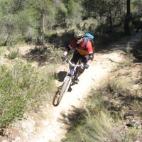 Martyn Cassell