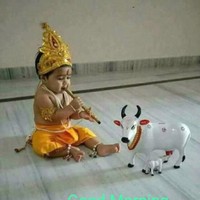 Gulshan Kumar Jha
