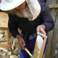 Sita Lama