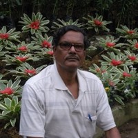 Krishna Chandra Bhar