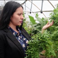 Elizabeth Romo Albuja