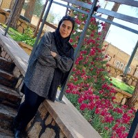 Elham Enayati