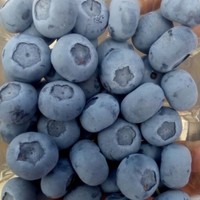 Ing. Abdon Campos  rodriguez