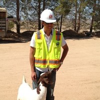 Greg Imamura, Pe