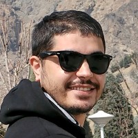 Mohammad Reza Bidar