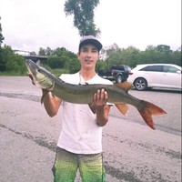 Kyle Mcbrien