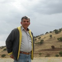 masoud masibeygi