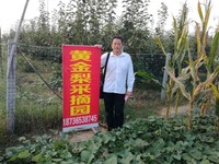 曾宪伟