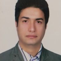 Nima F.