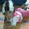 Boby Meshram Boby Meshram