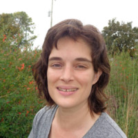 Robyn Walsh