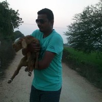 Kishore Krish