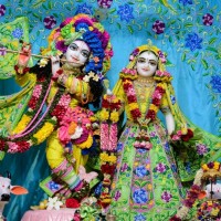 Abhishek kumar D. PH