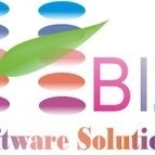 HBIZ Software Solutions