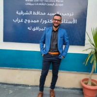 Abdallah Abdelfattah