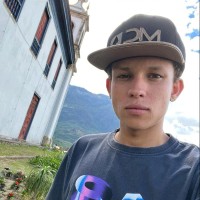 David Fernandes