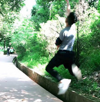 Yadong YANG