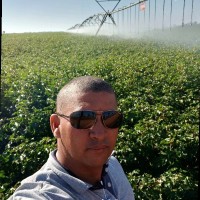 Gilberto C.