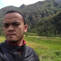 Fird Daus