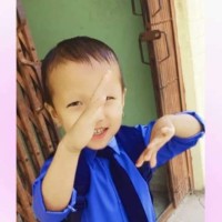Kamal Shris