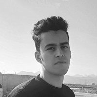 mohammadreza ghafouri