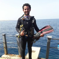 ahmed hosny