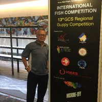 Henri Tsai