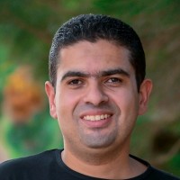 Mohamed Meshaly (Ph.D., Eit)