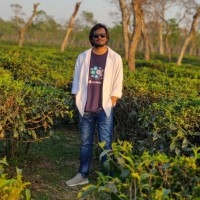 Shams Sumon
