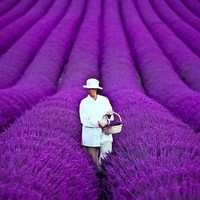 Robyn Lavender