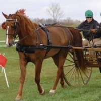 Susan Kary, AIA, LEED-AP