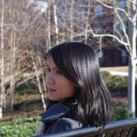 Phuong Luc