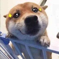 何敏杰