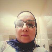 Hagar Amer
