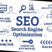 Damia Khan SEO executive