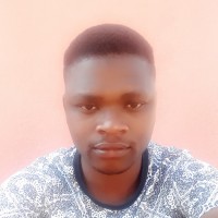 Alungile Dlodlo