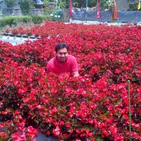 Supriyadi Way
