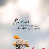 Rabia Ali