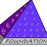 The Search Foundation