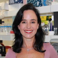 Associate Professor Wendy Gold