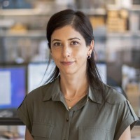 Ana Moldavsky