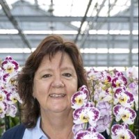 Annette Van Dijk