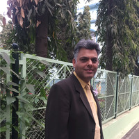 Amit M Arora