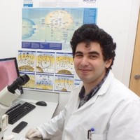 Dimitar Trifonov
