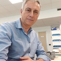 Andrea Gori
