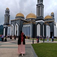 Suryani Afni