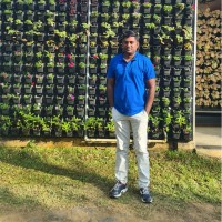 Jeeva Vadivel
